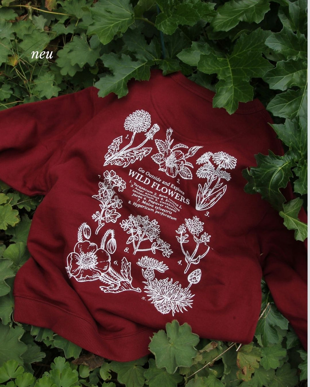 Daily Crewneck