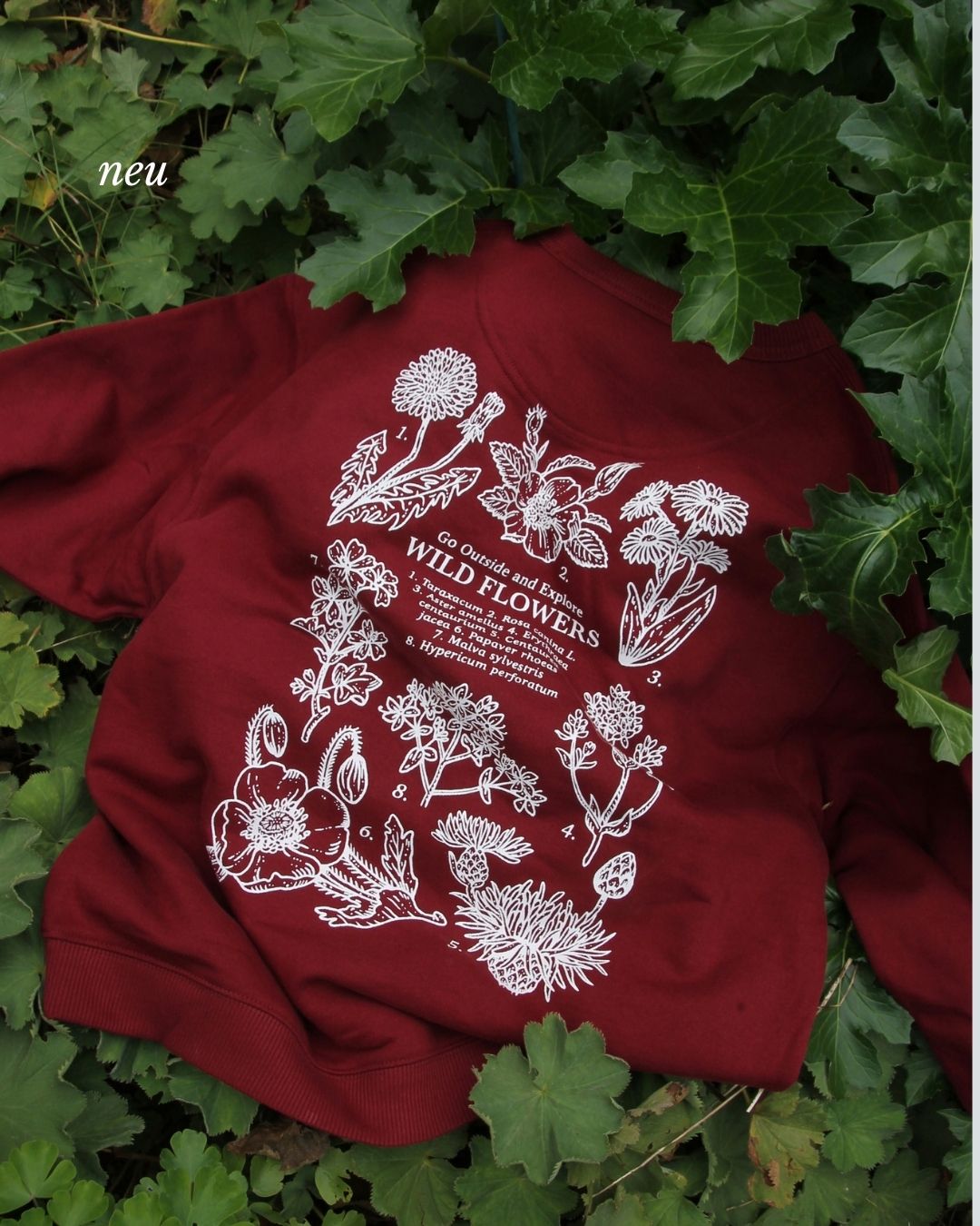 Daily Crewneck