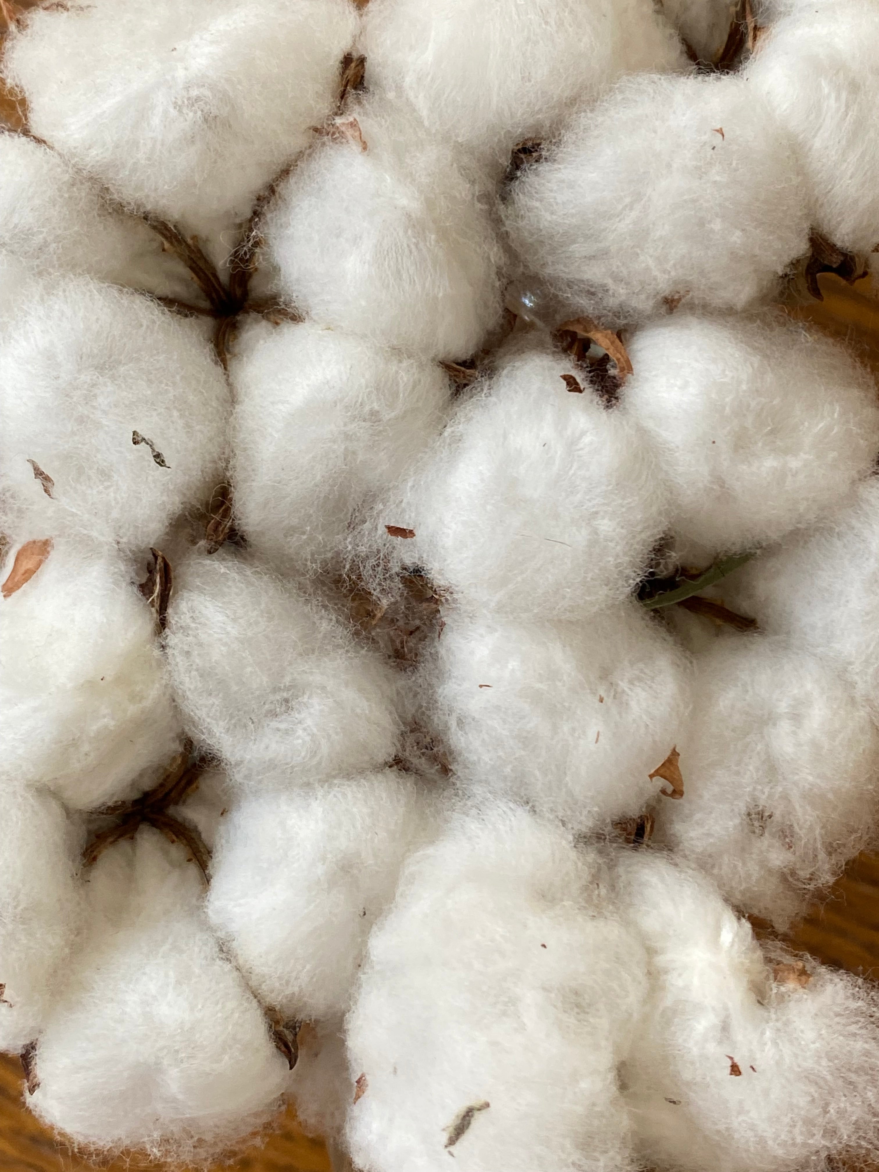 Nachhaltiges Bio-baumwolle, handbedruckt – Koohl’s Slow Fashion