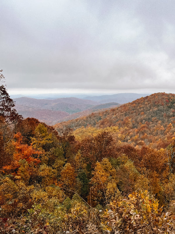 Nachhaltiges Bio-Kleidung mit Naturmotiv, handbedruckt – Koohl’s Slow Fashion